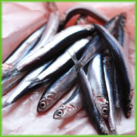 anchousth